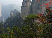 张家界市春节系列旅游文化活动新闻发布会